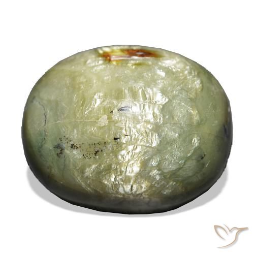 Opale Occhio di Gatto Verde terroso naturale da 21.69 ct, Cuscino, Opaco