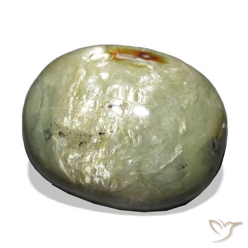 Opale Occhio di Gatto Verde terroso naturale da 21.69 ct, Cuscino, Opaco