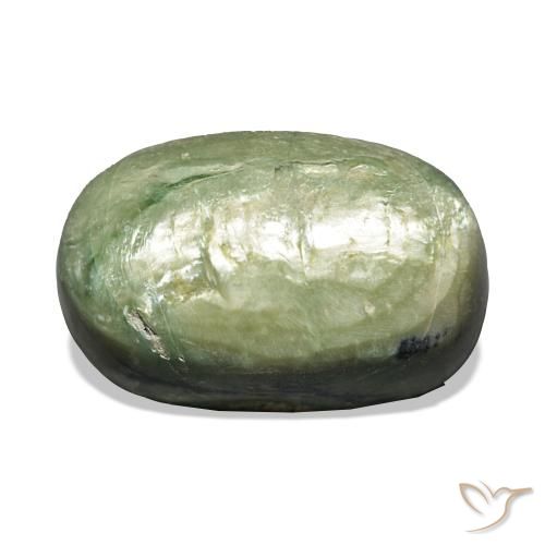 Opale Occhio di Gatto Verde caldo naturale da 11.06 ct, Ovale, Opaco