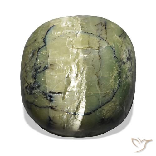Opale Occhio di Gatto Verde giallastro naturale da 28.96 ct, Cuscino, Opaco