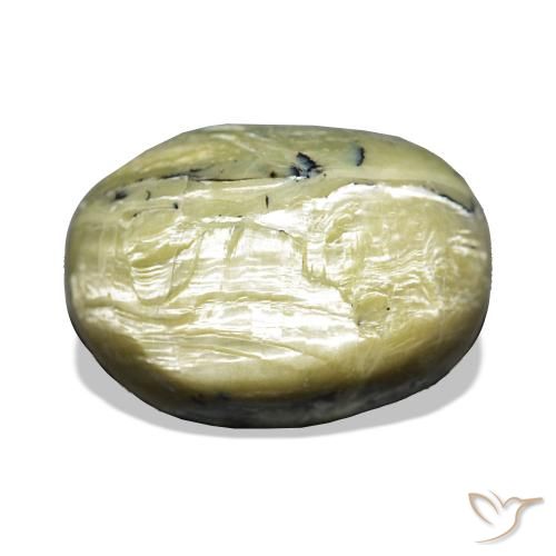 Opale Occhio di Gatto Verde caldo naturale da 11.66 ct, Ovale, Opaco
