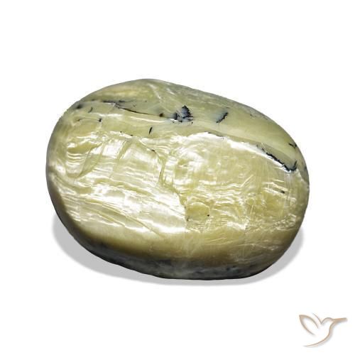 Opale Occhio di Gatto Verde caldo naturale da 11.66 ct, Ovale, Opaco