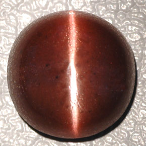 Cat's eye scapolite naturale marrone da 4,26 ct, taglio ovale, opaco