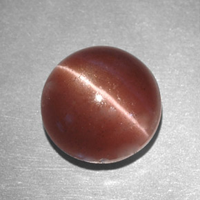Cat's eye scapolite naturale marrone da 2,78 ct, taglio rotondo, opaco