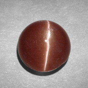 Cat's eye scapolite naturale marrone da 2,78 ct, taglio rotondo, opaco