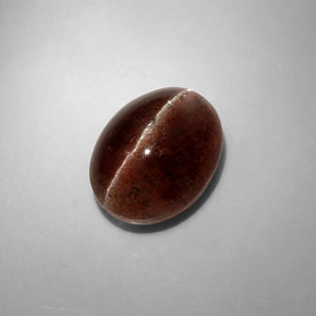 Cat's eye scapolite naturale marrone da 8,31 ct, taglio ovale, traslucido