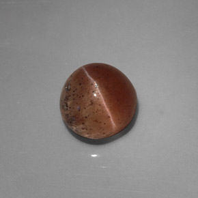 Cat's eye scapolite naturale marrone da 2,31 ct, trasparente, trasparente/traslucido