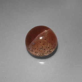 Cat's eye scapolite naturale marrone da 2,31 ct, trasparente, trasparente/traslucido