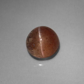 Cat's eye scapolite naturale marrone da 2,31 ct, trasparente, trasparente/traslucido