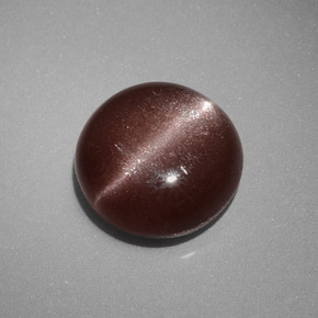 Cat's eye scapolite naturale marrone da 2,40 ct, taglio rotondo, opaco
