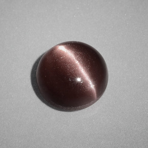 Cat's eye scapolite naturale marrone da 1,58 ct, taglio rotondo, opaco