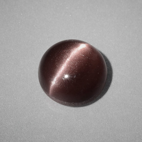 Cat's eye scapolite naturale marrone da 1,58 ct, taglio rotondo, opaco