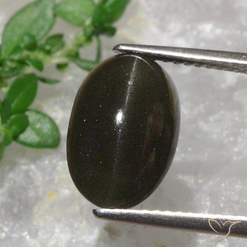 Scapolite occhio di gatto Marrone nerastro naturale da 6.38 ct, Taglio ovale, Traslucido