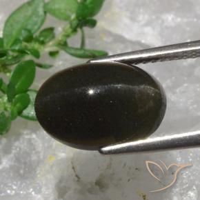 Scapolite occhio di gatto Marrone nerastro naturale da 6.38 ct, Taglio ovale, Traslucido