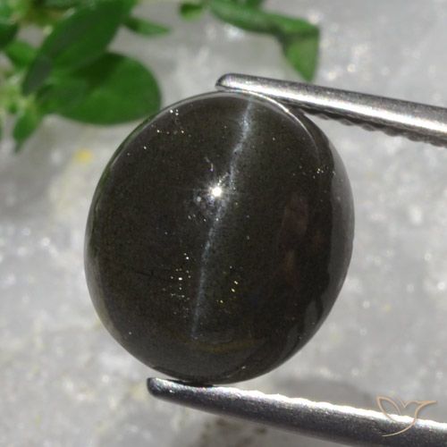 5.43ct Naturale Marrone Cioccolato Fondente Scapolite effetto occhio di gatto, Ovale, Traslucido