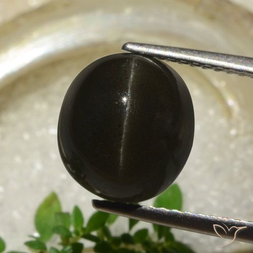 5.83ct Naturale Nero Scapolite effetto occhio di gatto, Ovale, Traslucido
