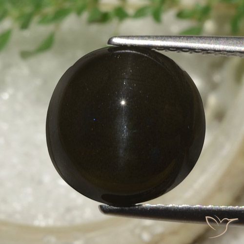 6.53ct Naturale Marrone scuro Scapolite occhio di gatto, Rotondo, Traslucido