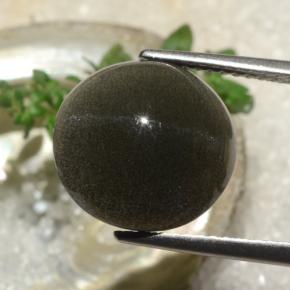 Cat's eye scapolite naturale marrone da 6,50 ct, taglio rotondo, traslucido
