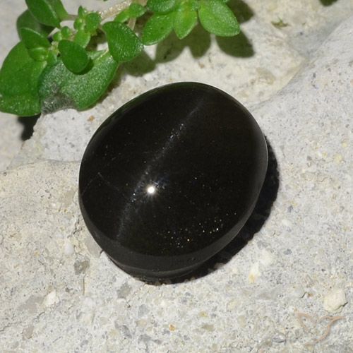 7.45ct Naturale Nero Scapolite effetto occhio di gatto, Ovale, Traslucido