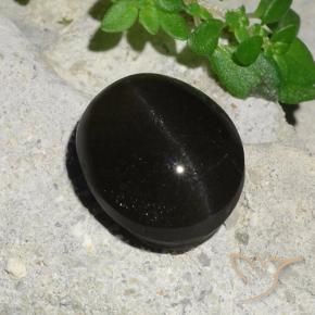 Scapolite occhio di gatto Nero naturale da 7.45 ct, Ovale, Traslucido