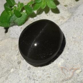 Scapolite occhio di gatto Nero naturale da 7.45 ct, Ovale, Traslucido