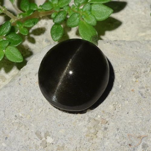 5.12ct Naturale Nero Scapolite effetto occhio di gatto, Ovale, Traslucido