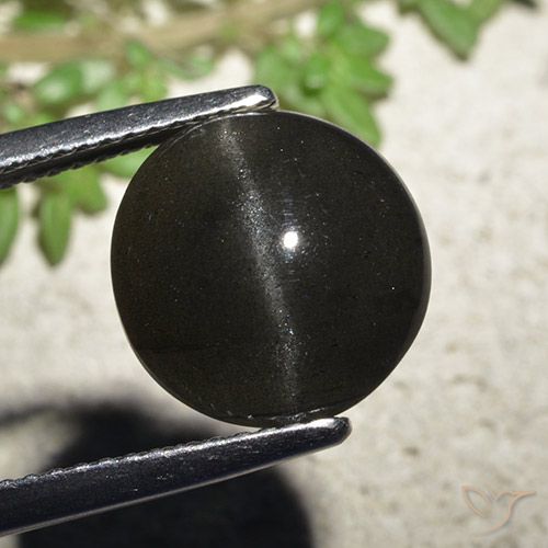 6.48ct Naturale Nero Scapolite occhio di gatto, Rotondo, Traslucido