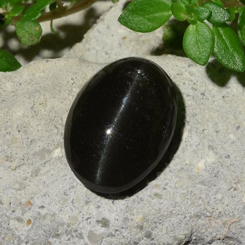 5.12ct Naturale Nero Scapolite effetto occhio di gatto, Ovale, Traslucido