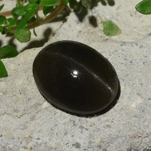 Cat's eye scapolite naturale nero da 5,10 ct, taglio ovale, traslucido