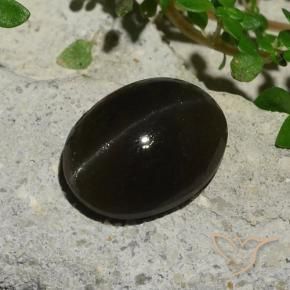Cat's eye scapolite naturale nero da 5,10 ct, taglio ovale, traslucido
