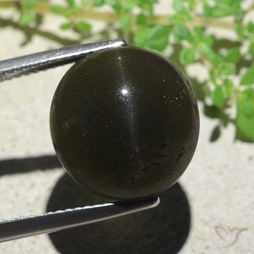 14.13ct Naturale Nero Scapolite effetto occhio di gatto, Ovale, Opaco