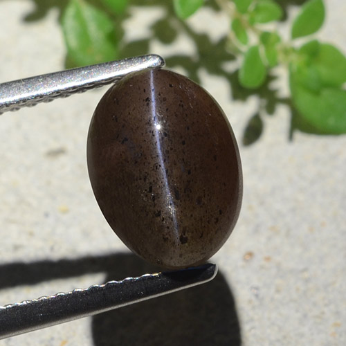 Scapolite occhio di gatto Nero caldo naturale da 4.04 ct, Taglio ovale, Traslucido