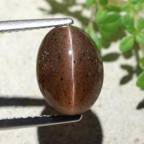 Cat's eye scapolite naturale marrone da 4,55 ct, taglio ovale, traslucido