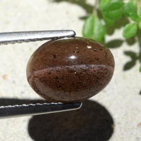 Cat's eye scapolite naturale marrone da 4,55 ct, taglio ovale, traslucido