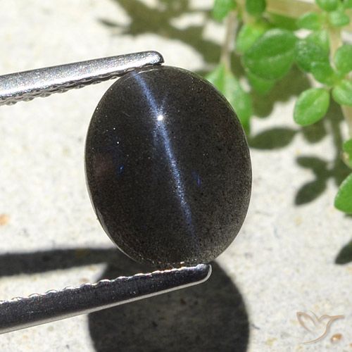 2.85ct Naturale Nero Scapolite occhio di gatto, Ovale, Opaco