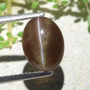 Cat's eye scapolite naturale marrone da 3,84 ct, taglio ovale, traslucido