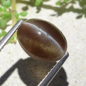 Cat's eye scapolite naturale marrone da 3,84 ct, taglio ovale, traslucido