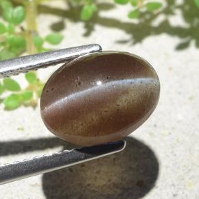 Cat's eye scapolite naturale marrone da 3,84 ct, taglio ovale, traslucido