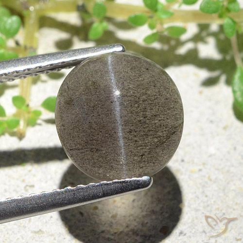 Cat's eye scapolite naturale marrone da 3,94 ct, taglio ovale, traslucido