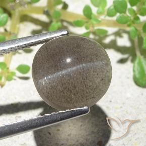 Cat's eye scapolite naturale marrone da 3,94 ct, taglio ovale, traslucido