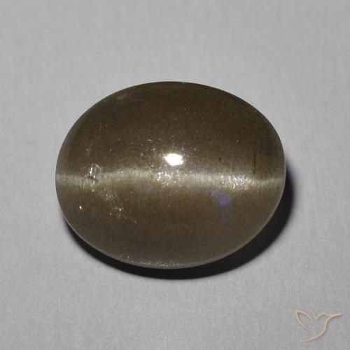 5.81ct Naturale Marrone medio Scapolite effetto occhio di gatto, Ovale, Traslucido