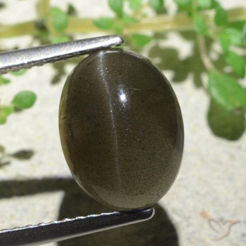 4.70ct Naturale Marrone medio-chiaro Scapolite effetto occhio di gatto, Ovale, Traslucido