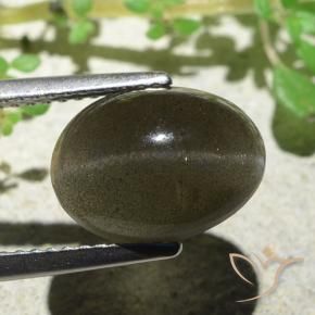 Scapolite occhio di gatto Marrone medio-chiaro naturale da 4.70 ct, Ovale, Traslucido