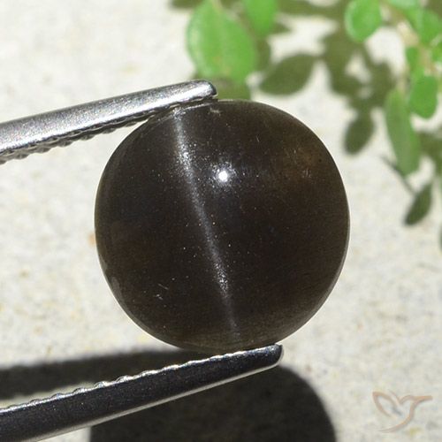 3.87ct Naturale Marrone scuro Scapolite occhio di gatto, Rotondo, Traslucido