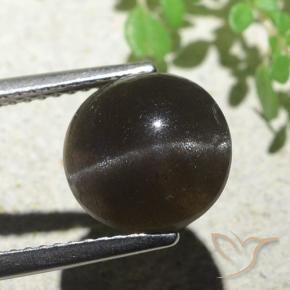 Scapolite occhio di gatto Marrone scuro naturale da 3.87 ct, Rotondo, Traslucido