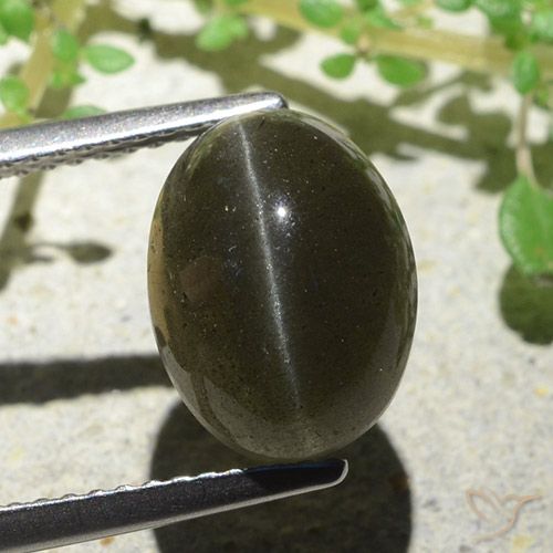 Cat's eye scapolite naturale marrone da 4,66 ct, taglio ovale, traslucido