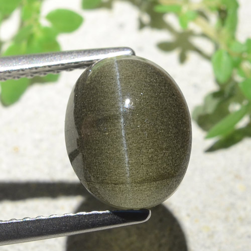 Cat's eye scapolite naturale marrone da 4,00 ct, taglio ovale, traslucido