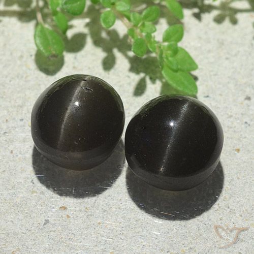 8.87ctw Naturale Nero Scapolite effetto occhio di gatto, Ovale, Traslucido