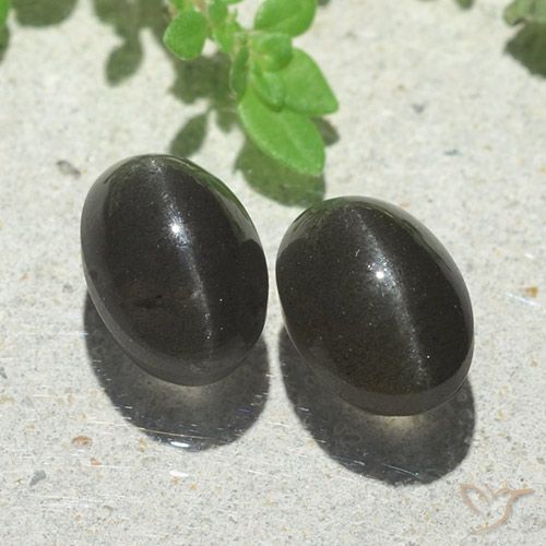 5.00ctw Naturale Nero Scapolite effetto occhio di gatto, Ovale, Traslucido
