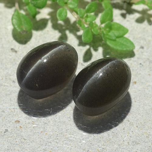 Cat's eye scapolite naturale nero da 6,12 ct, taglio ovale, traslucido